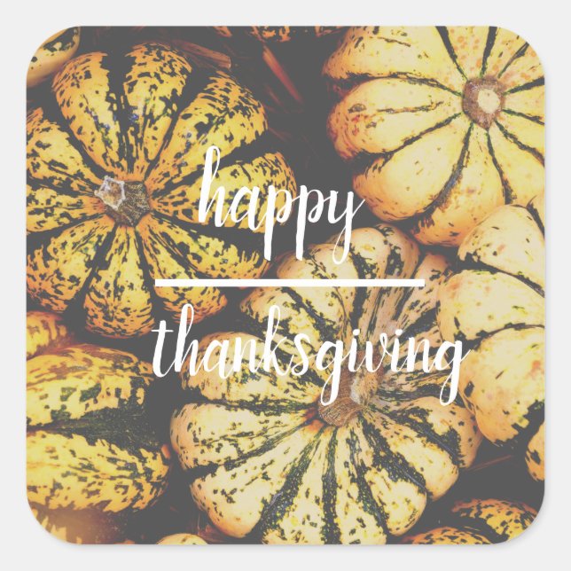 Pumpkins Happy Thanksgiving Quadratischer Aufkleber (Vorderseite)