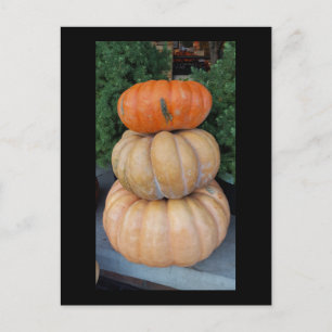 Pumpkins Herbstpostkarte Postkarte