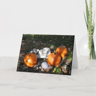 Pumpkins in Dappled Light Greeting Card Karte