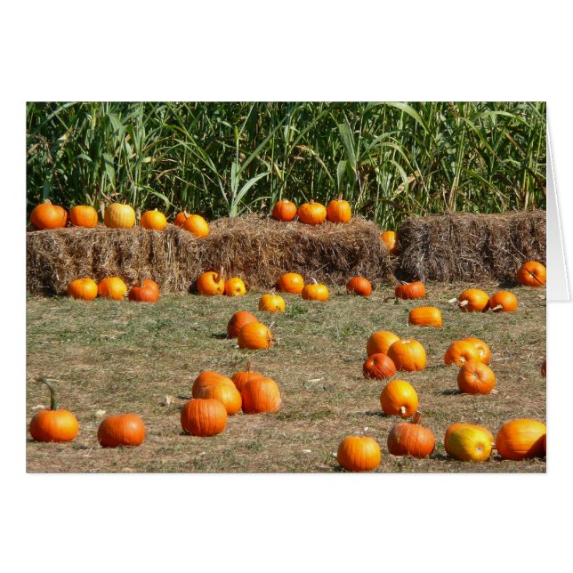 Pumpkins, Mais und Hay Herbst Erntefotografie (Vorderseite (Horizontal))