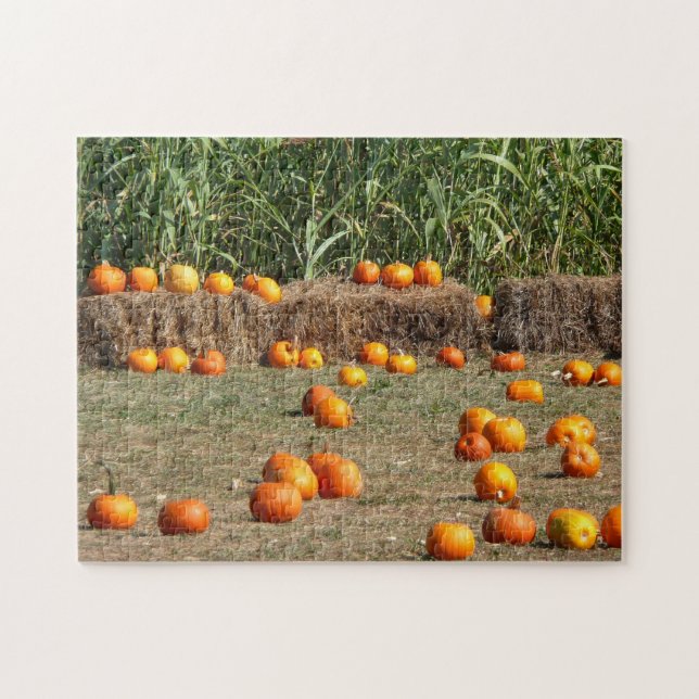 Pumpkins, Mais und Hay Herbst Erntefotografie (Horizontal)