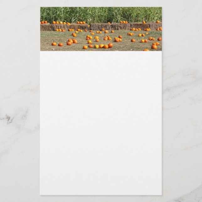 Pumpkins, Mais und Hay Herbst Erntefotografie Briefpapier (Vorderseite)