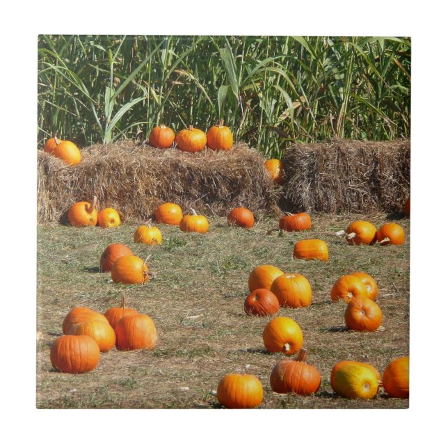 Pumpkins, Mais und Hay Herbst Erntefotografie Fliese (Vorderseite)