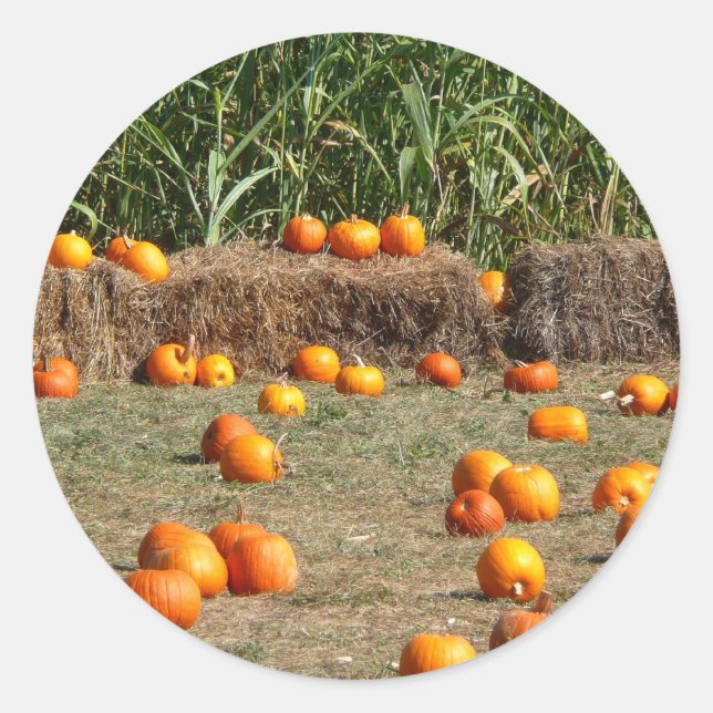 Pumpkins, Mais und Hay Herbst Erntefotografie Runder Aufkleber (Vorderseite)