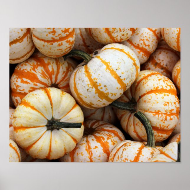 Pumpkins Poster (Vorne)