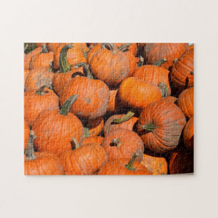 Pumpkins, Pumpkins, Pumpkins - 11x14 - 252 Stk.
