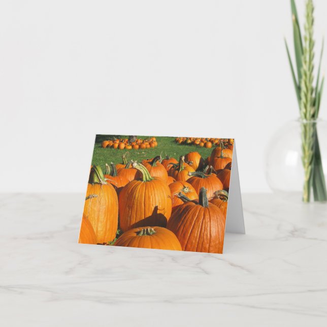 Pumpkins Roca Berry Farm card 4 Karte (Vorderseite)