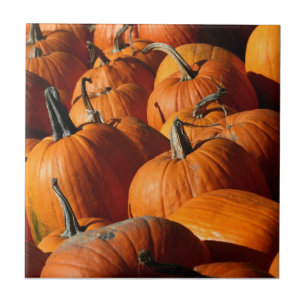 Pumpkins Tile Fliese
