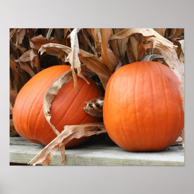 Pumpkins und getrocknete Maisstämme Herbst Poster (Vorne)