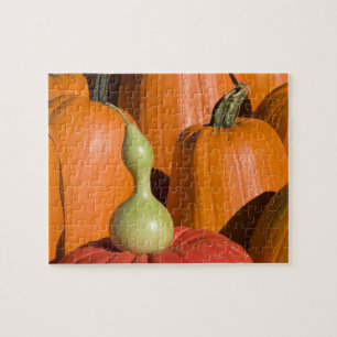 Pumpkins und Gourd