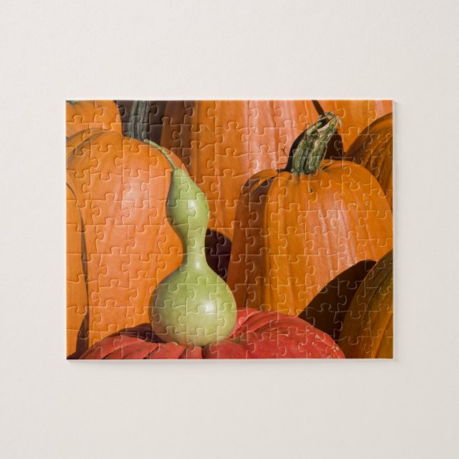 Pumpkins und Gourd (Horizontal)
