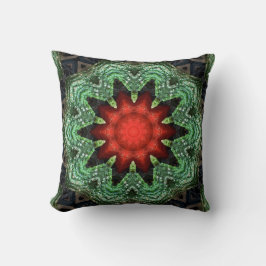Pumpkins und Gourds kaleidoscope Kissen