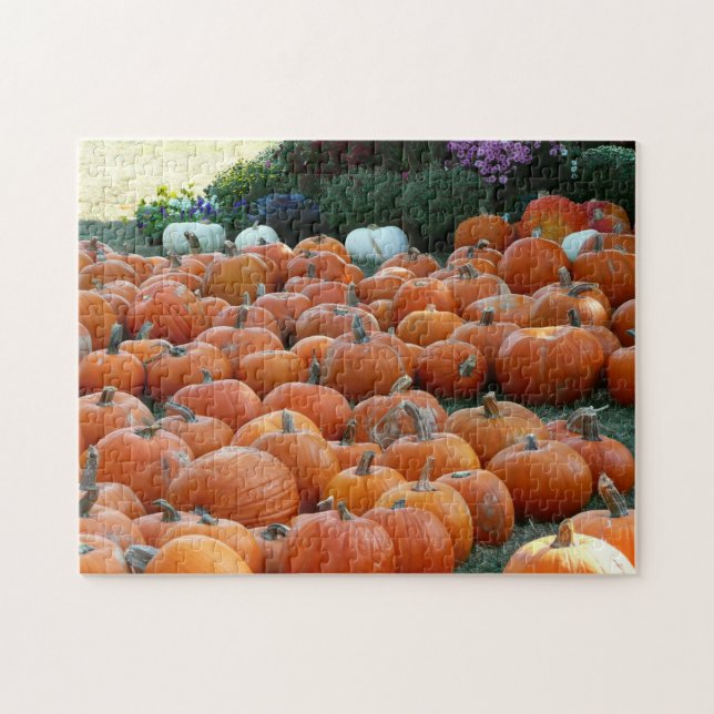 Pumpkins und Mums Herbsternte Fotografie (Horizontal)