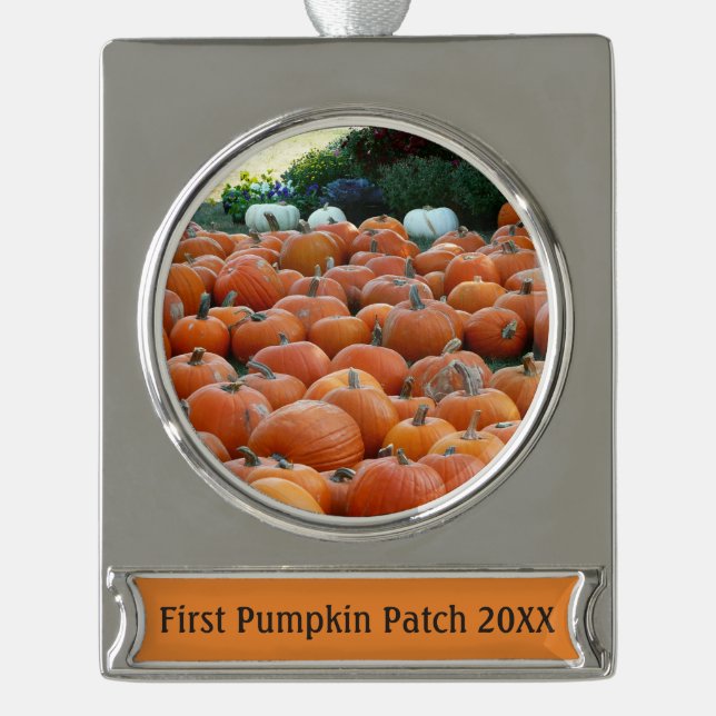 Pumpkins und Mums Herbsternte Fotografie Banner-Ornament Silber (Vorderseite)