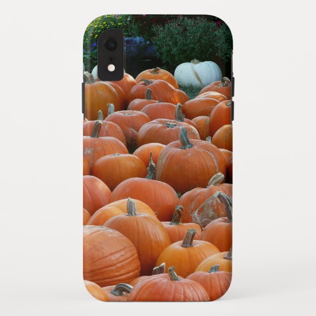 Pumpkins und Mums Herbsternte Fotografie Case-Mate iPhone Hülle (Rückseite)