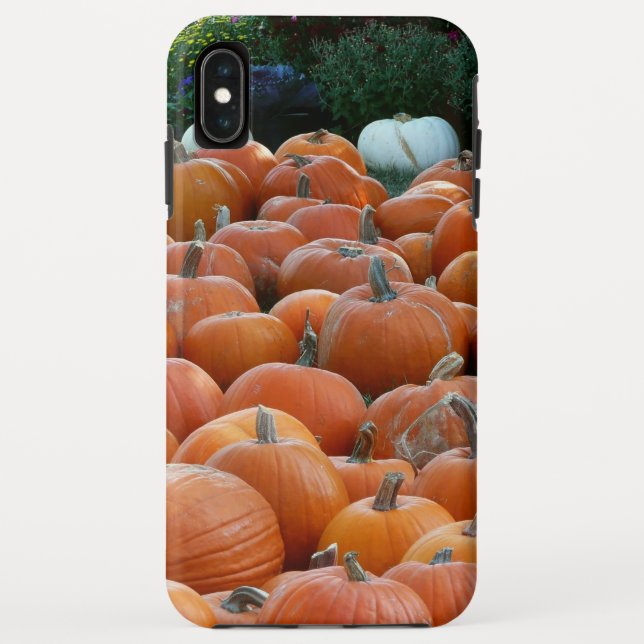 Pumpkins und Mums Herbsternte Fotografie Case-Mate iPhone Hülle (Rückseite)