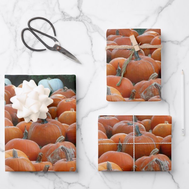 Pumpkins und Mums Herbsternte Fotografie Geschenkpapier Set (Vorderseite)