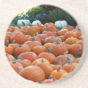 Pumpkins und Mums Herbsternte Fotografie Getränkeuntersetzer