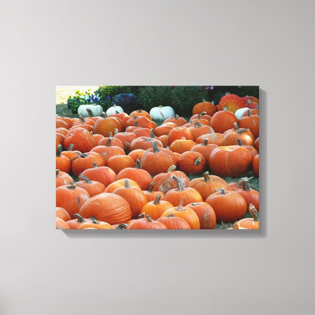 Pumpkins und Mums Herbsternte Fotografie Leinwanddruck (Vorderseite)
