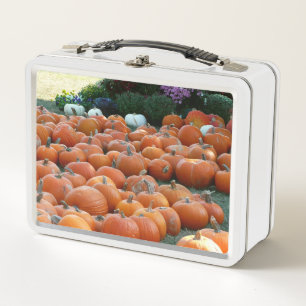 Pumpkins und Mums Herbsternte Fotografie Metall Brotdose