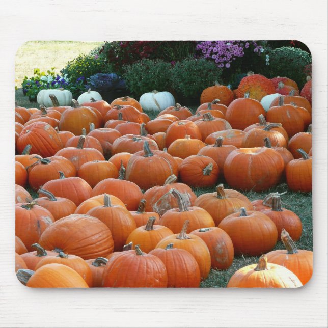 Pumpkins und Mums Herbsternte Fotografie Mousepad (Vorne)