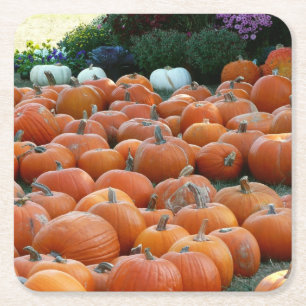 Pumpkins und Mums Herbsternte Fotografie Rechteckiger Pappuntersetzer
