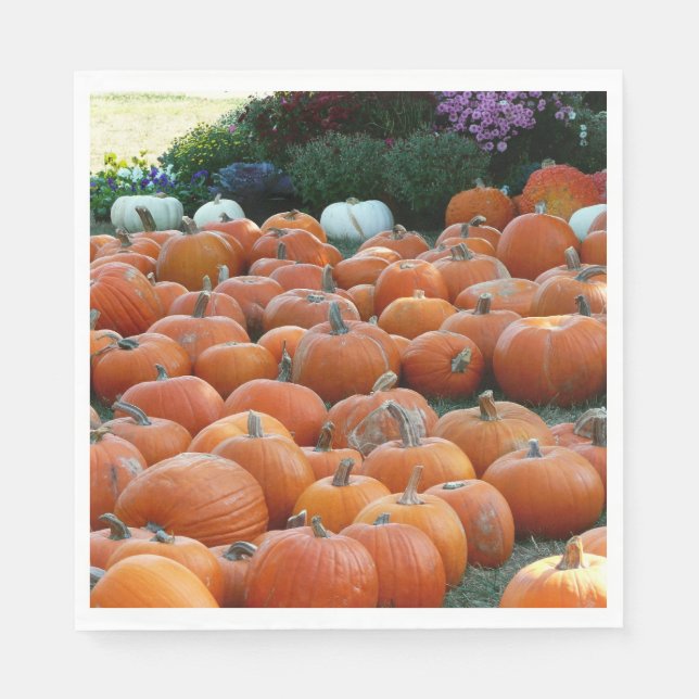 Pumpkins und Mums Herbsternte Fotografie Serviette (Vorderseite)