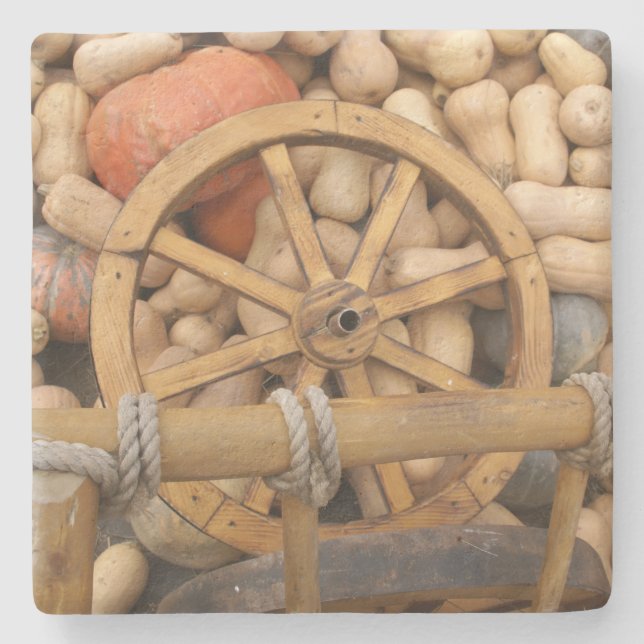 Pumpkins und Räder des ländlichen Holzkarren Steinuntersetzer (Vorderseite)