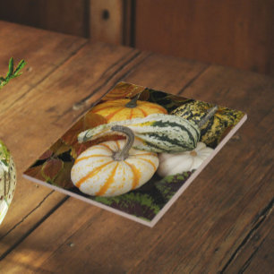 Pumpkins und Squash Still Life Foto Fliese