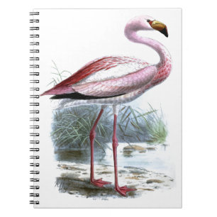 Puna Flamingo Vintag Illustration Notizblock