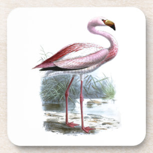 Puna Flamingo Vintag Illustration Untersetzer