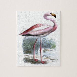 Puna-Flamingo-Vintage-Illustration
