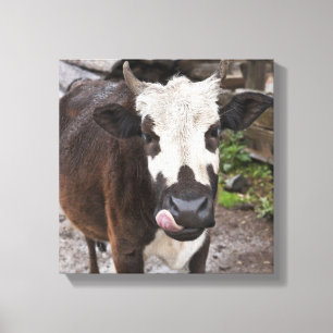 punakha Bezirk Bhutan Leinwanddruck