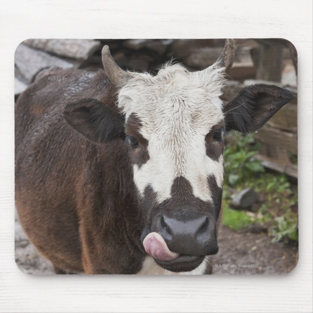 punakha Bezirk Bhutan Mousepad (Vorne)