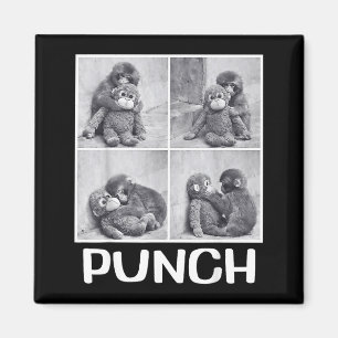 Punch Baby-Affen-Meme Magnet