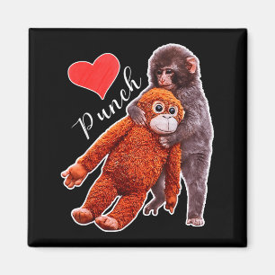 Punch Baby-Affen-Meme Magnet