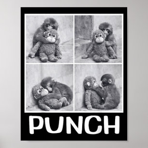 Punch Baby-Affen-Meme Poster