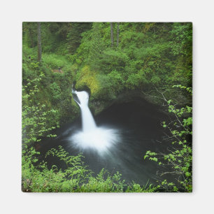 Punchbowl Falls am Eagle Creek, Columbia River Magnet