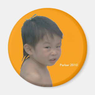 Punk 2010 magnet