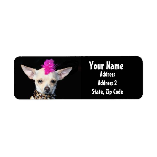 Punk Chihuahua Address Labels (Vorne)
