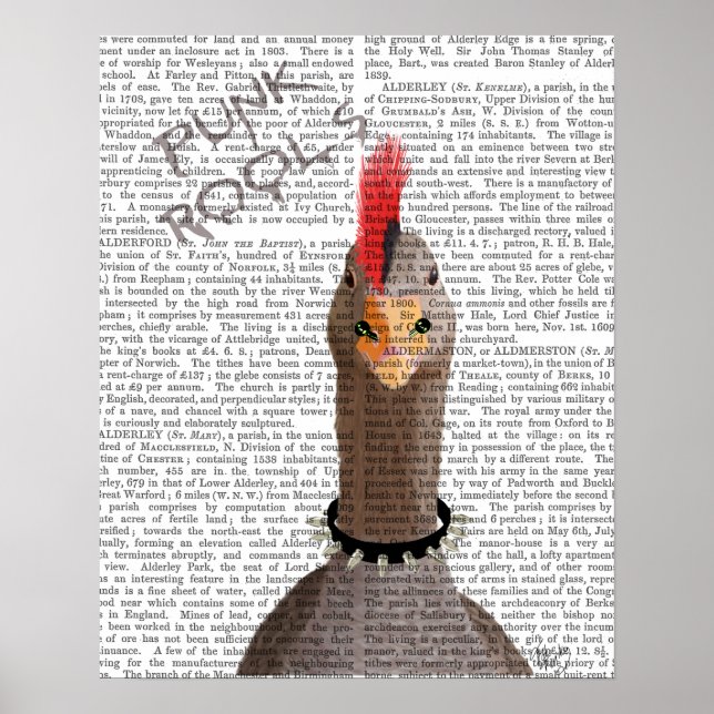 Punk Rock Goose Poster (Vorne)