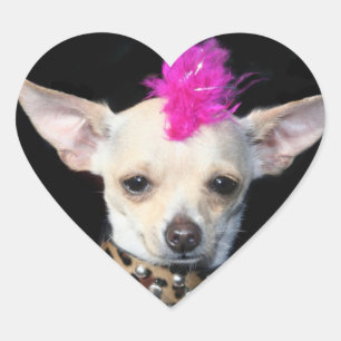 PunkChihuahua-Aufkleber Herz-Aufkleber