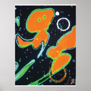 Punkin KC Bild Poster