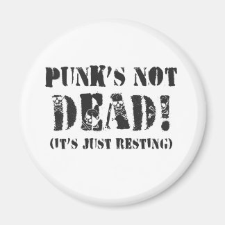 Punks leben! magnet
