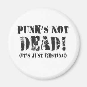 Punks nicht absolut! magnet