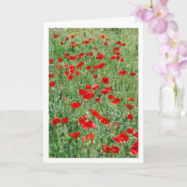 Punkte in der Feldkarte Karte (Orchidee)