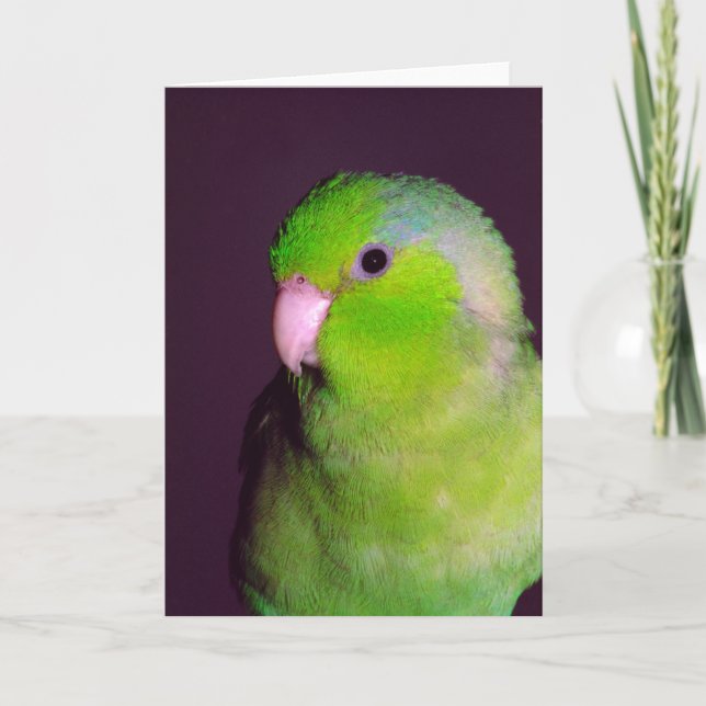 Punktekarte Karte (Vorderseite)