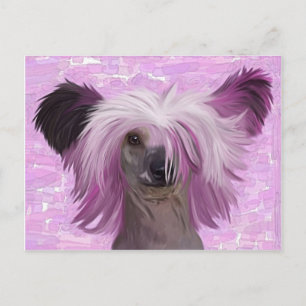 Punky2 Postkarte