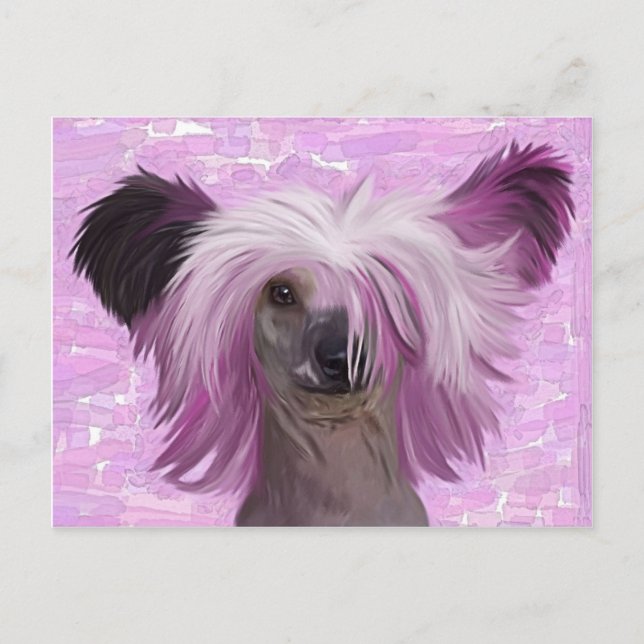 Punky2 Postkarte (Vorderseite)