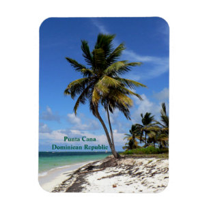 Punta Cana, Dominikanische Republik, Kokospalme Magnet